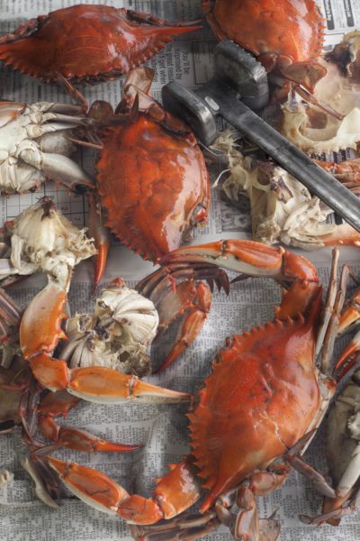 Louisiana blue crabs turn bright red when boiled; hand-picking the white lumps inside is the key to this salad.