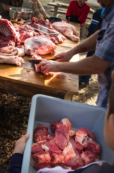 Cutting down the backbone for a rich Cajun recipe for Backbone Stew.