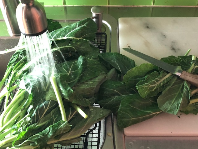Rinsed Collard greens Collards should be washed before cooking.