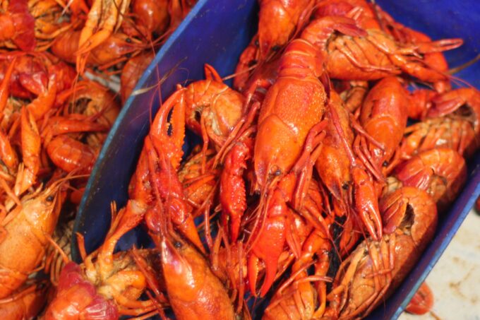 Louisiana crawfish needs your help! (All photos credit: George Graham)