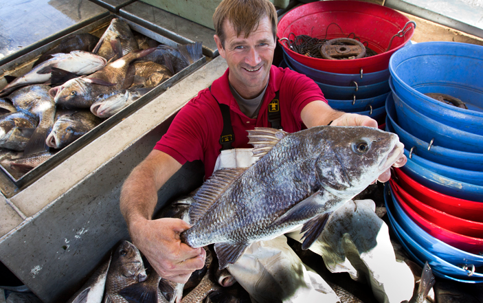 Douglas Olander brings a boatload of black drum to the dock st Big D's Seafood. (Photo credit: Ed Lallo)