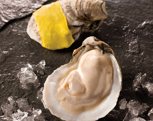 Gold Band in-shell oysters are pre-opened for convenience and safety. (Photo creddit: Motivatit archive)