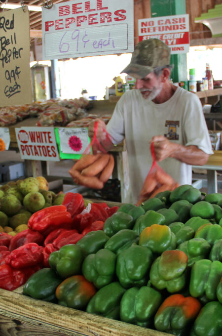Bell peppers abound in Louisiana produce stands.